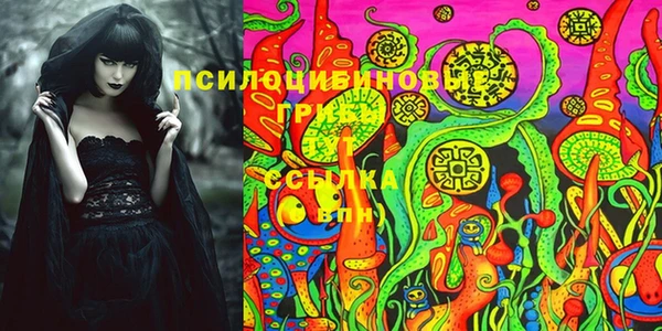 гидропоника Корсаков