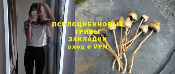 MDMA Premium VHQ Коряжма