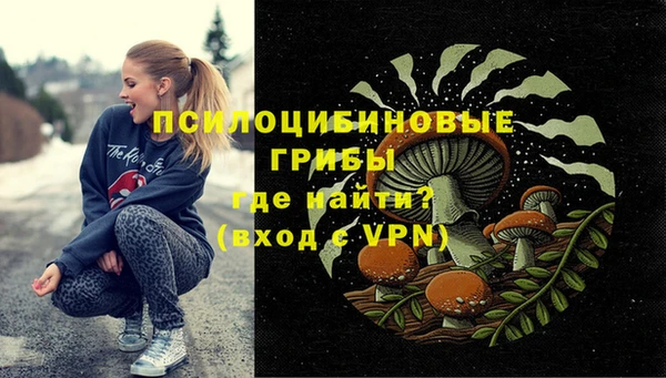 гидропоника Корсаков
